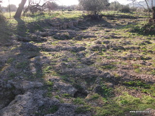 tapiccola-13-01-2013 09-20-20